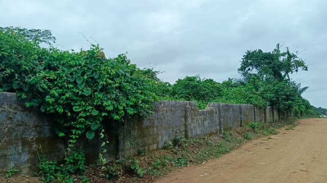 Bareland measuring 650m at Temu Village Epe