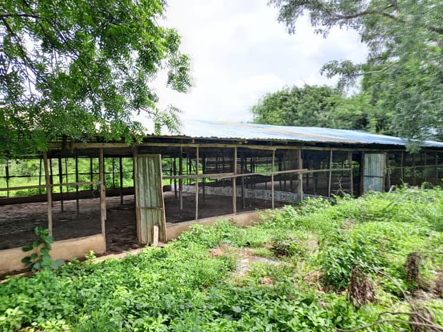 Fish Ponds
