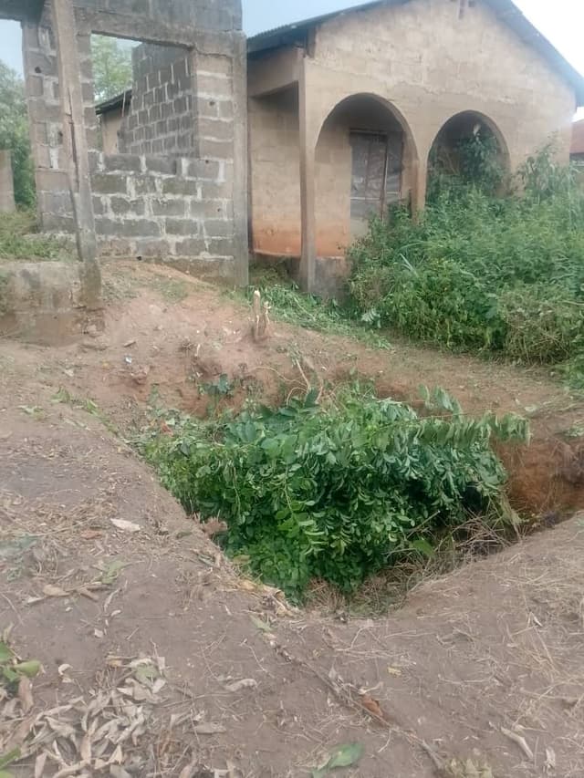Half Plot Of Land For Sale photo 3